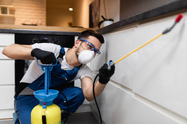 Best Local Pest Control Services  in Federalsburg, MD