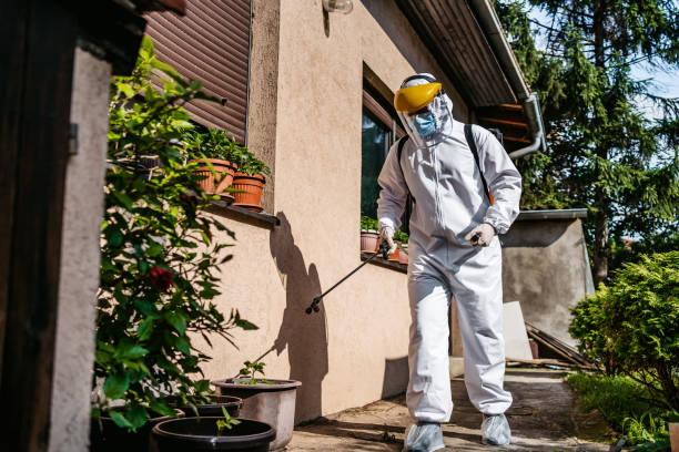 Best Affordable Pest Control Services  in Federalsburg, MD