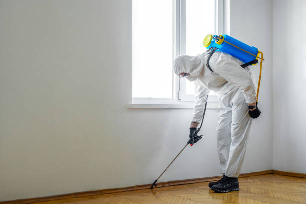 Trusted Federalsburg, MD Pest Control Experts