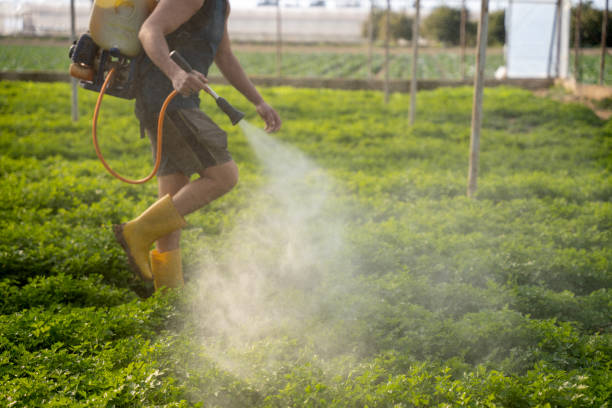 Best Best Pest Control Companies  in Federalsburg, MD