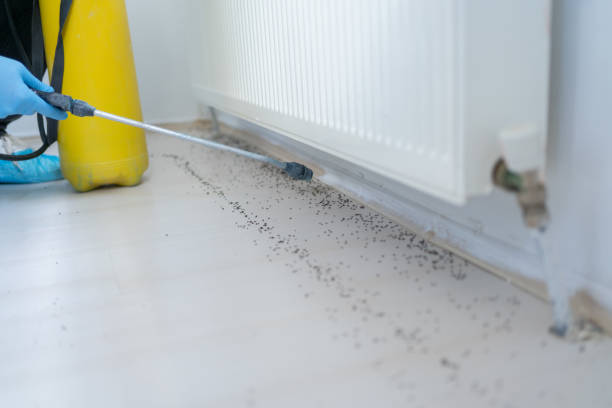 Best Emergency Pest Control  in Federalsburg, MD