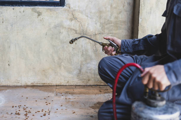 Best Pest Removal Services  in Federalsburg, MD